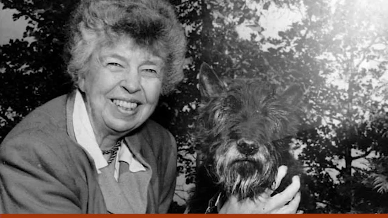 At Home with the Roosevelts Ep. 15 – Museum Collection: Fala, The Most Famous Dog in America